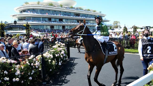 Incentivise carried much of the market in Melbourne Cup betting. Photo: Vince Caligiuri/Getty Images)