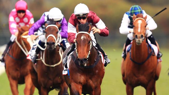 Hellbent will be hard to beat at Sandown on Wednesday. Picture: Mark Evans