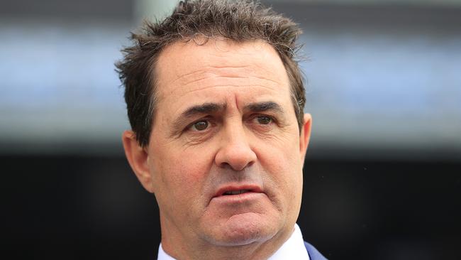 Michael Freedman will send out “nice colt” Pallaton for his debut at Randwick on Saturday. Picture: Mark Evans/Getty Images