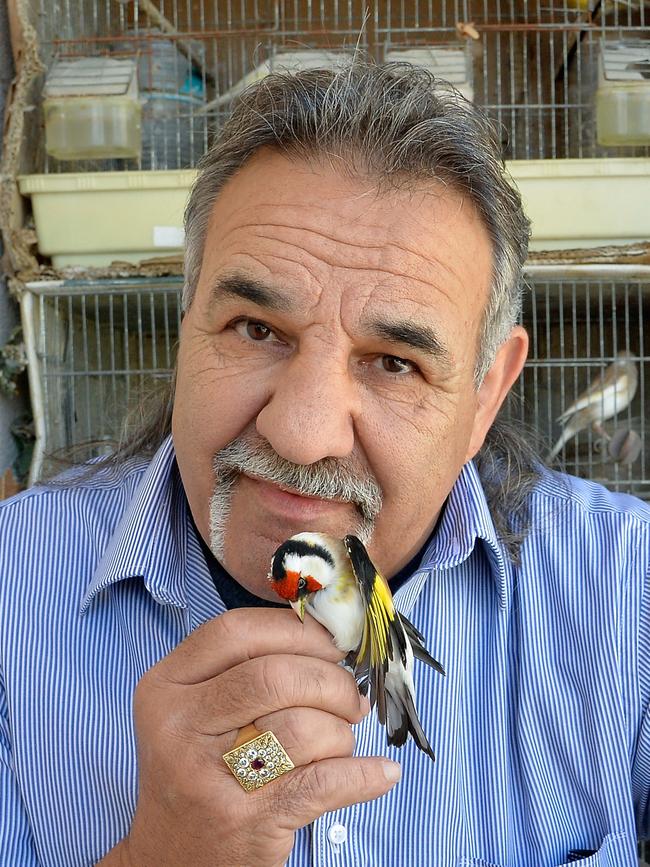 Alex Vella, aka The Maltese Falcon, with his goldfinch. Picture: David Dyson