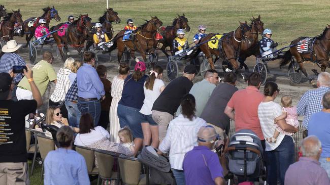 Harness racing enthusiasts enjoy the Carnival of Cups at Young. Picture: Harness Racing NSW