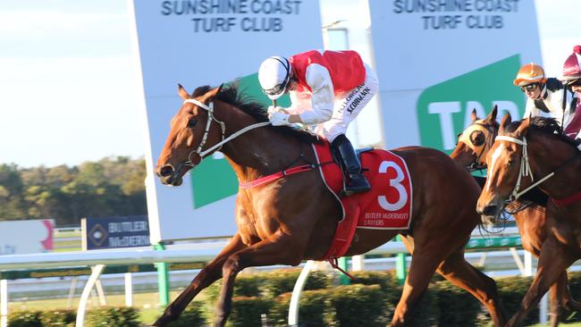 The Gary Duncan trained Wapiti won the Winx Guineas at Corbould Park last year. Picture: Tom Threadingham