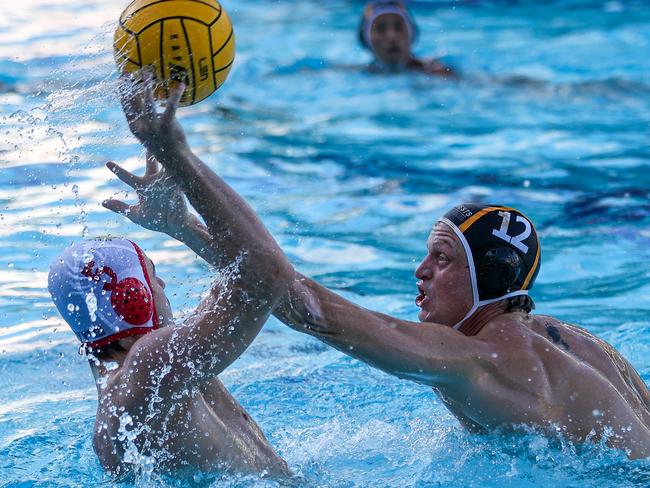 UNSW men face Sydney Uni this weekend.