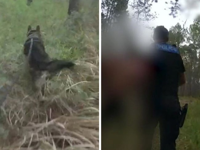 A police dog tracked and caught an alleged car thief.