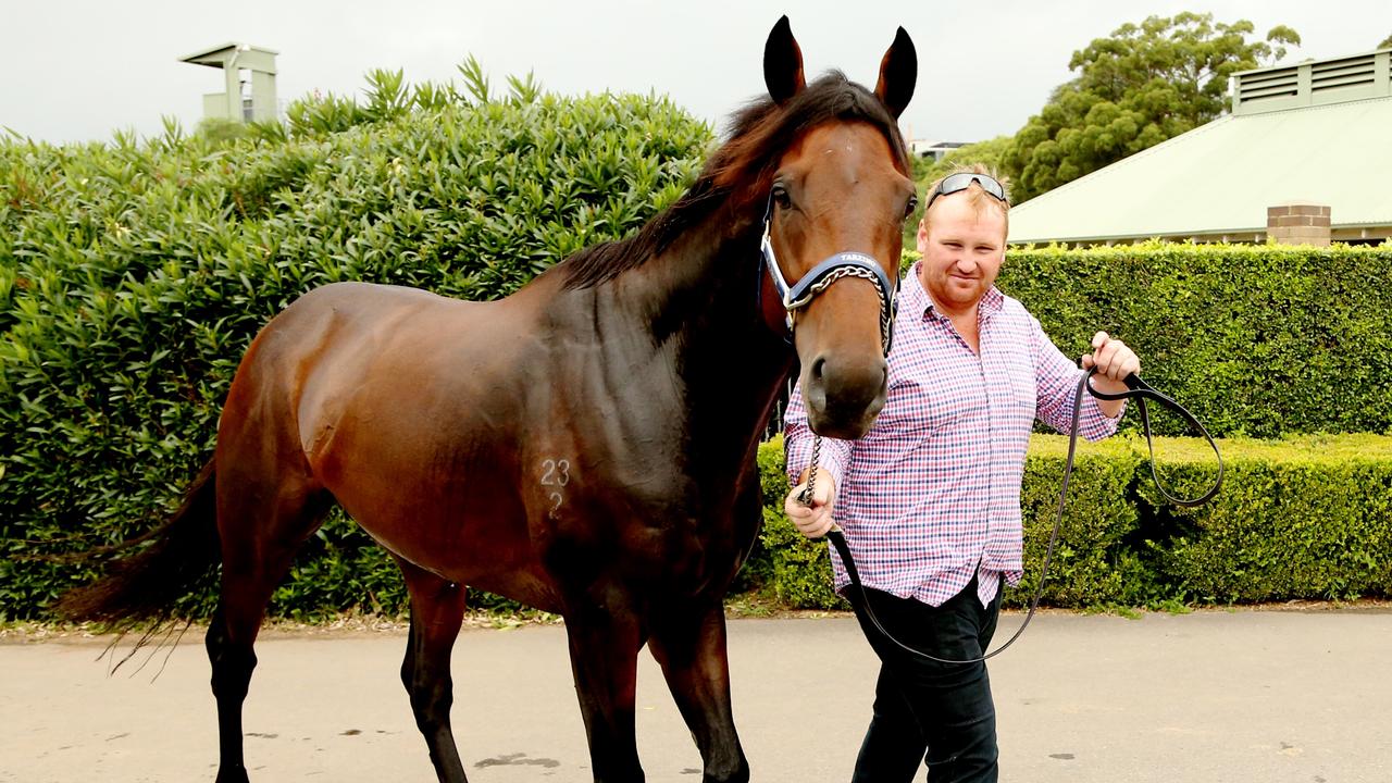 Trainer Mick Price's horse Tarzino goes for a swim with the strapper at Randwick stables today. Picture: Adam Taylor