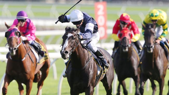 Gallante scored an all-the-way win in the Sydney Cup.