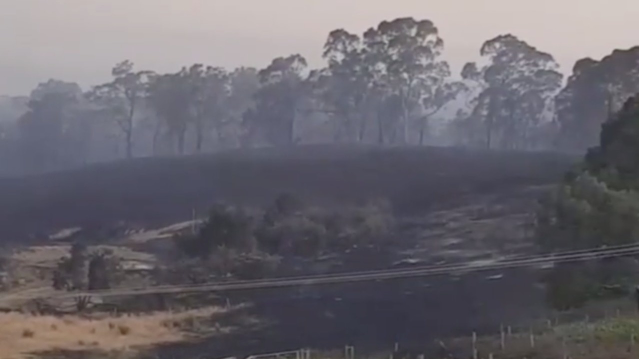 'Total Devastation': South Australia Winery Destroyed in Catastrophic Bushfires