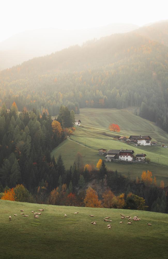 Pictures from #Green2020, Agora’s latest online photo contest. 'Bucolic' by @e.stis (Italy).