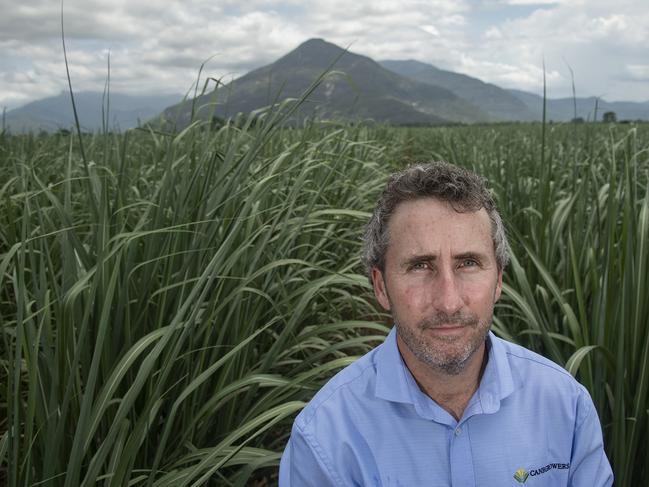 Queensland Canegrowers CEO Dan Galligan. Picture credit: Brian Cassey.