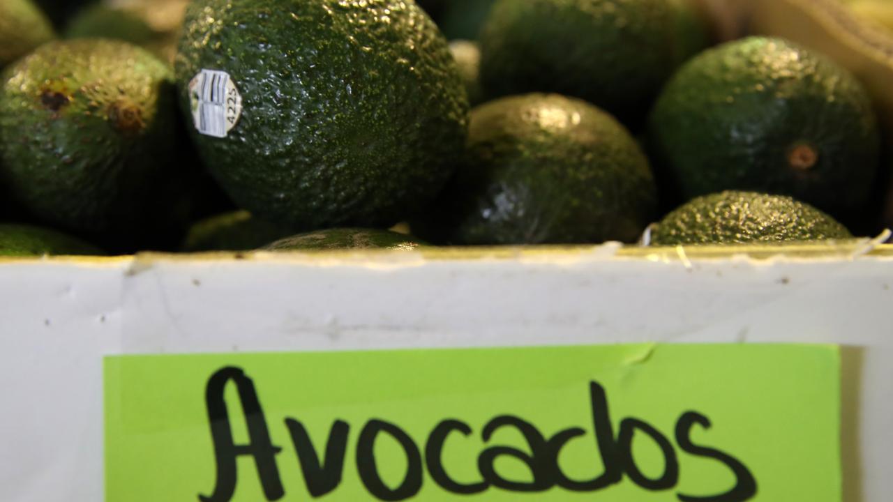 “Lectures about smashed avo are patronising,” said Mr Shorten. Picture: Justin Sullivan/Getty Images/AFP.