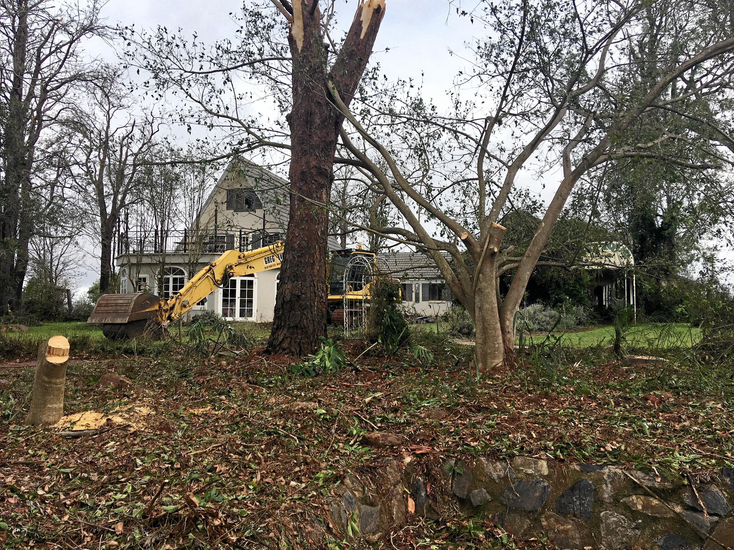 POTTED AND PUMMELED: The lavender farm took the brunt of the storm, receiving buckets of hail and broken windows before losing the roof off of the antique shed. Picture: Erin Anne Zaleski