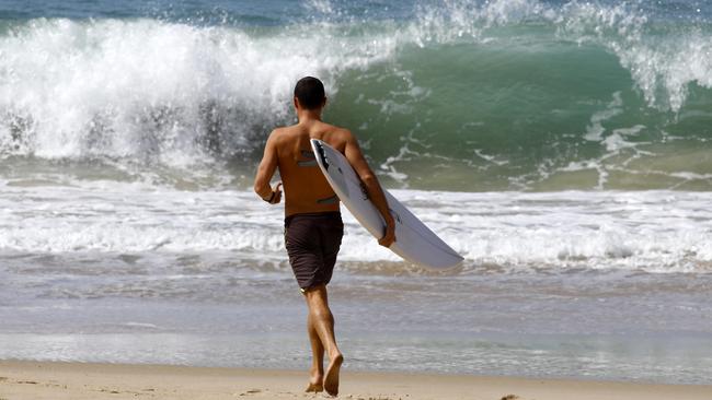 A surfer at Surfers Paradise beach in Queensland. Picture: Tertius Pickard