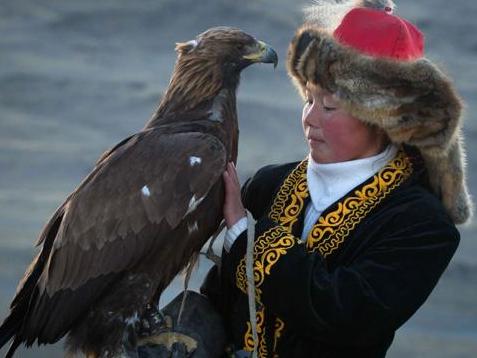 PIC BY ASHER SVIDENSKY/CATERS NEWS - (PICTURED: 13 year old Ashol Pan with her eagle - Despite her young age, Ashol had the amazing ability to control and be able to caress her eagle, almost as if she had been with it for years) - These stunning photographs show the changing face of a majestic centuries old Kazakh pastime tradition that still lives in the lands of mongolia - eagle hunters. The pictures focus on 13-year-old Ashol Pan - the only girl, today, who is being trained to work with these birds of prey (golden eagles). Set in the beautifully mountains of Bayan -Ulgii province, in the far west of the open steppes of Mongolia, the photographer centres on Ashols power over the bird. Tradition-wise, only when a boy turns 13, and he‚Äôs strong enough to carry the weight of a grown eagle, his father starts training him in the ancient hunting technique.- but being a girl in this trade makes Ashol- pan an exception. They say, that in the Kazakh tradition, there‚Äôs over a thousand ways of training and hunting using the eagle, and each family masters their own special technique. SEE CATERS COPY