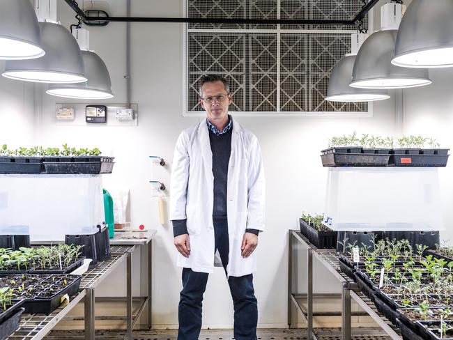 Professor Brent Kaiser, acting director Sydney Institute of Agriculture, says growers need to find new markets. Picture: University of Sydney