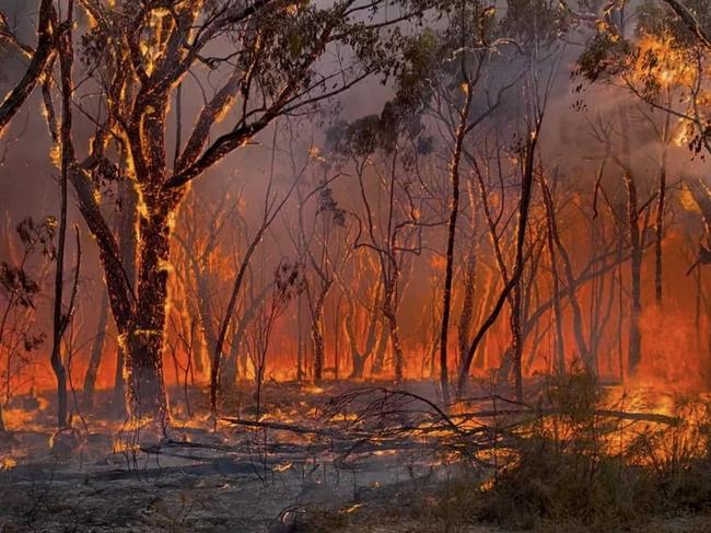 02/02/2025  Kerang CFA crews in the Grampians assisting with back burning and monitoring tree crowning and spot overs. The chasing breakouts into areas out of the containment lines . picture: Facebook / Kerang Fire Brigade