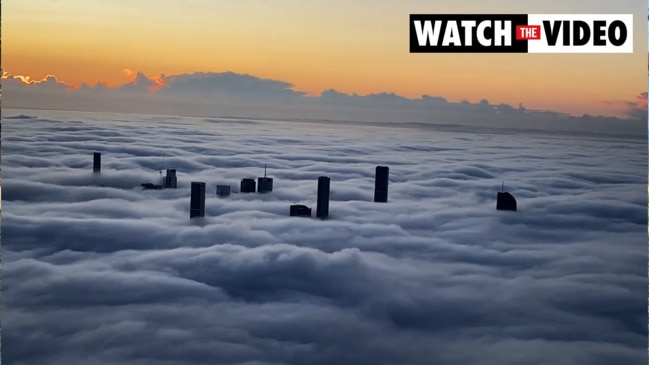 Thick fog blankets Brisbane