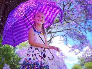 PHOTO OF THE DAY: The purple flowers might be disappearing, but there is still time to remember the jacaranda season with Anita Jamison's photo. Picture: Anita Jamison