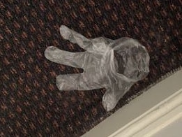 Supplied photo from the hotel Quarantine Inquiry. Ridges Hotel.  A glove found in one of the rooms