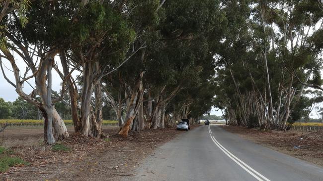 Strathalbyn teen Johnny Howieson died at the scene when the car he was driving struck a tree on Lakes Plains Rd on Sunday morning. Picture Dean Martin