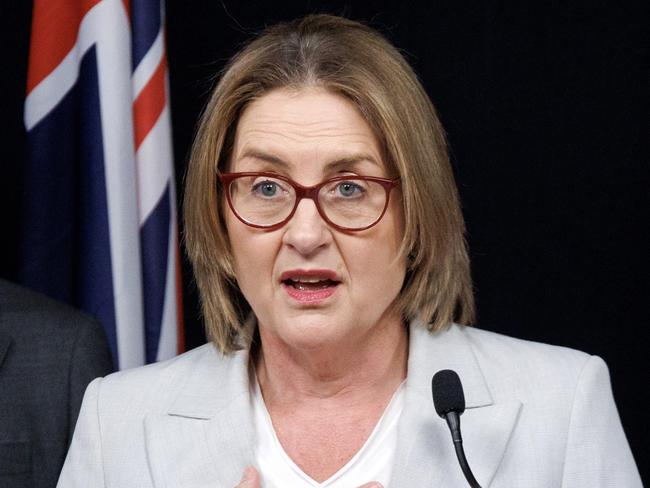 MELBOURNE, AUSTRALIA - NewsWire Photos - December 17, 2024:  Premier Jacinta Allan, Minister for Police Anthony Carbines and Minister for Multicultural Affairs Ingrid Stitt make an announcement at 1 Treasury Place. Picture: NewsWire /ÃDavid Geraghty