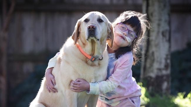 Breana Zois 8, who has DiGeorge syndrome, with her assistance dog, Jaffa. Picture: David Caird