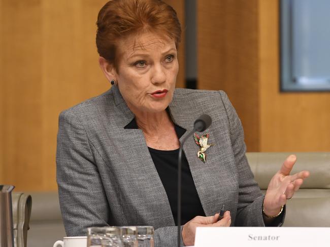 Pauline Hanson speaks during Senate estimates at Parliament House in Canberra, yesterday. Picture: AAP.