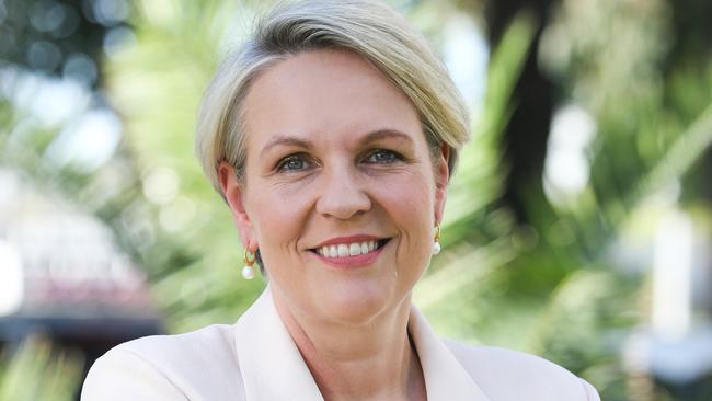 SYDNEY, AUSTRALIA : NewsWire Photos- AUGUST 28 2024; Tanya Plibersek MP Ã Minister for the Environment and Water is seen arriving at the Newscorp Publishing Site in Sydney, ahead of a tour through the facility, recognising News Publishing media industry for recycling leadership.  Picture: NewsWire / Gaye Gerard