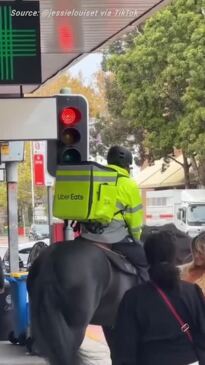 Horse seen delivering UberEats in Sydney
