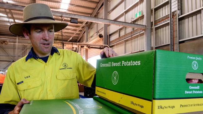 Lex Greensill in Bundaberg.