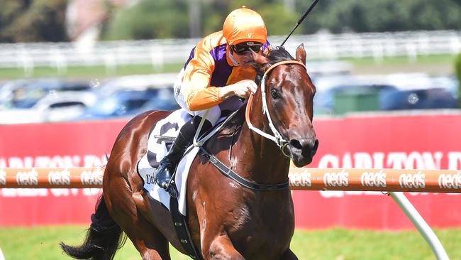 Sebonack has been trialling well and is one if the leading contenders in The Rosebud. Picture: Getty Images