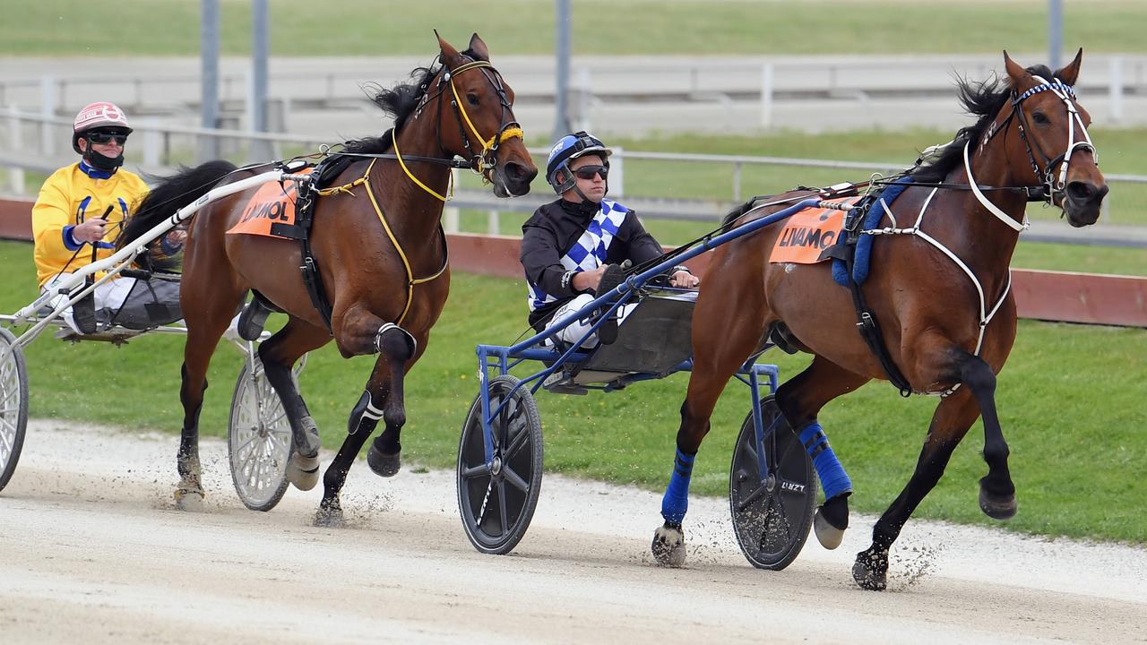 NZ Trotting Cup Day