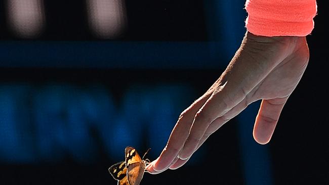 The butterfly and Japan's Naomi Osaka. Picture: Paul Crock.