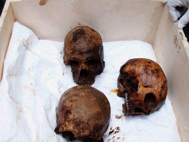 Skulls of the three decomposed mummies found inside the mysteriously large coffin. Picture: EPA