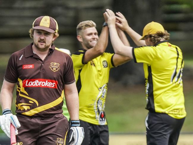 MPCA cricket: Heatherhill v Seaford Tigers. Seaford players celebrate their innings. Picture: Valeriu Campan