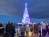 ‘Australia Day icon’: Big idea floated for Christmas tree