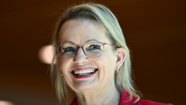 Liberals revolt over policy failures as Ley is ‘pragmatic’ choice for leader