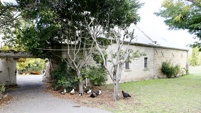 Contented chickens roam the grounds near the original buildings, which include a stable that was probably once the original house. Picture: MATT THOMPSON