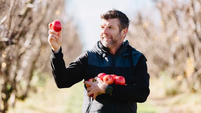 Core assets: After almost 20 years with Plunkett Orchards at Ardmona, orchard manager Jason Shields continues to drive efficiency programs that have helped revolutionise the business. Picture: Chloe Smith