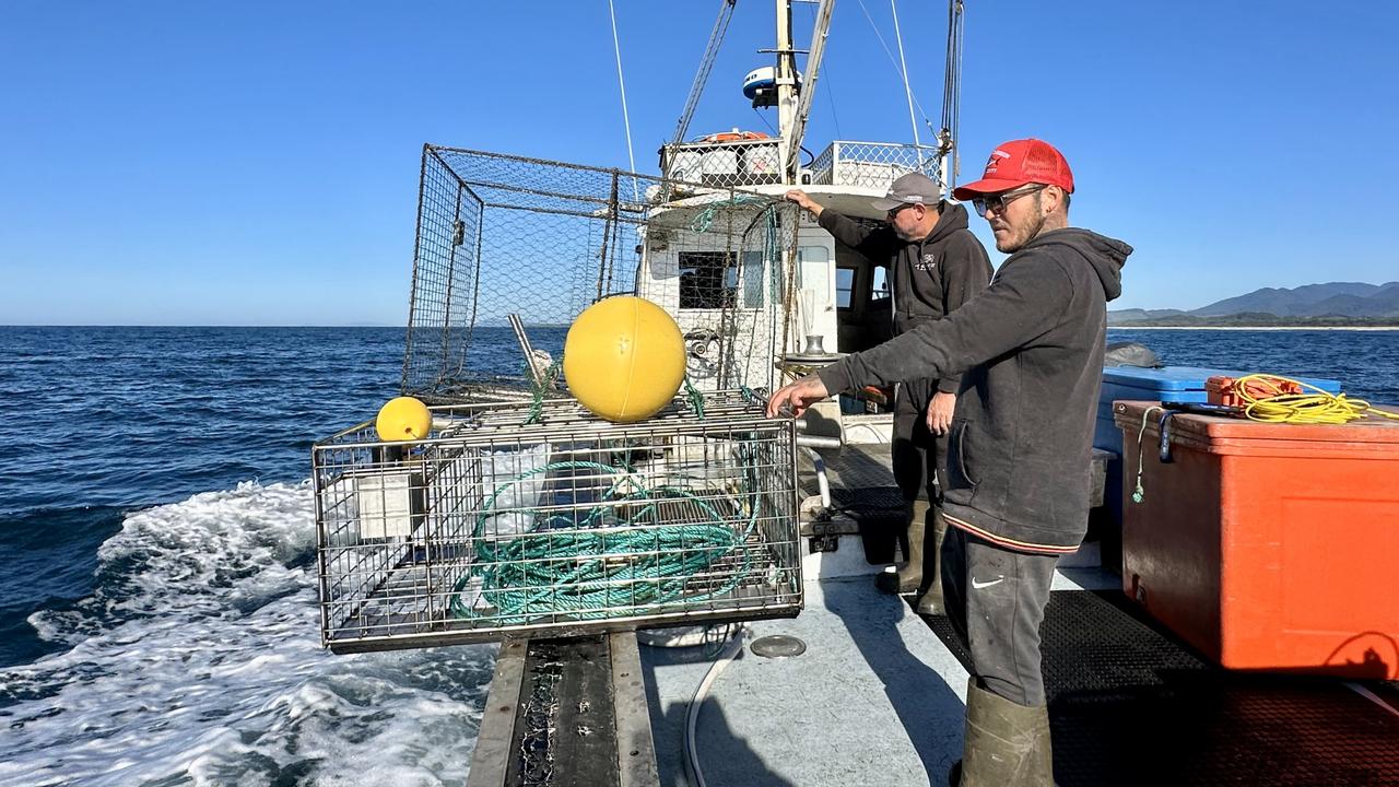 What commercial fishers are doing to protect the humpback highway