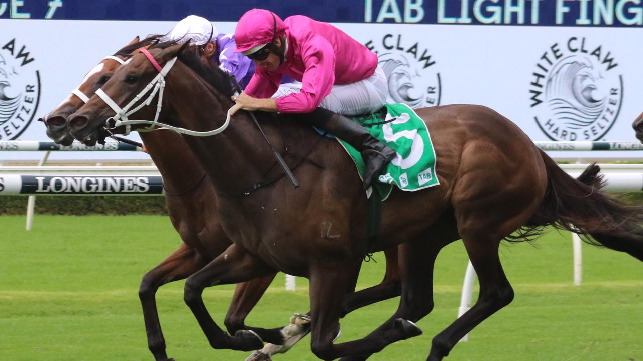 Fangirl can carry the famous all cerise colours to Group 1 success in the Vinery Stud Stakes. Picture: Grant Guy
