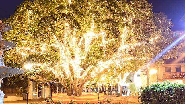 Racecourse Road Business Group’s plan to upgrade the road ambience by hanging fairy lights in trees, such as Mosman Council has done in their Village Green, pictured above. Picture: Mosman Council/Supplied