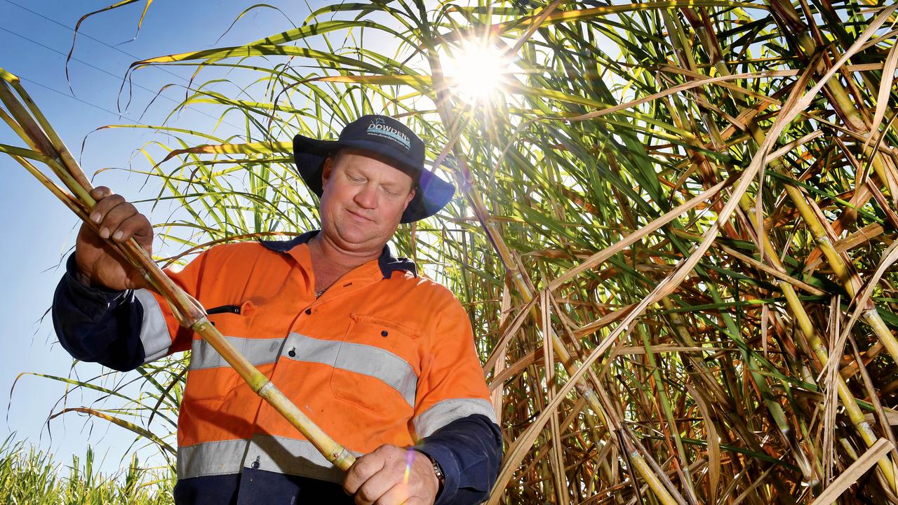 Mackay Cane Farms For Sale at Claudia Eric blog