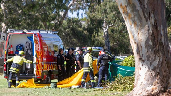 A was woman killed by a falling tree branch on the Adelaide Uni soccer fields on Wednesday. Picture: Brett Hartwig