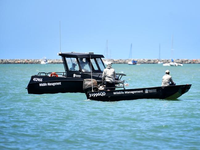 Wildlife Management patrolling the Strand after reports of a crocodile sighting. Picture: Alix Sweeney