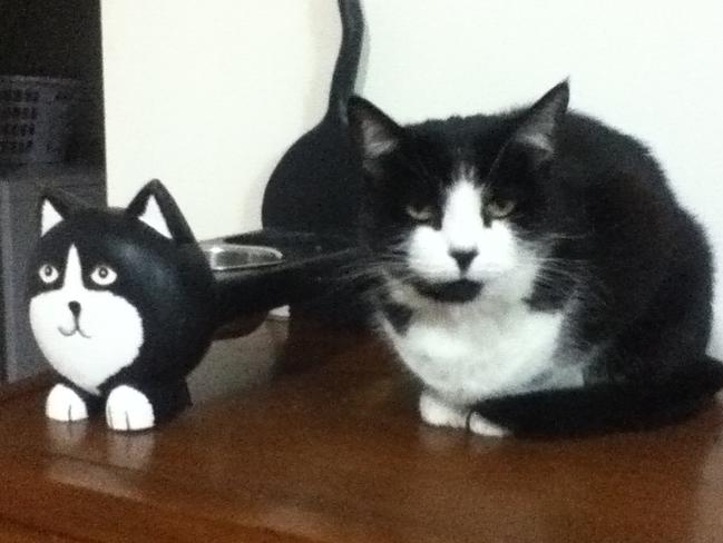 Missy: Every genius needs their own mini-me and Missy’s got her sidekick sorted.