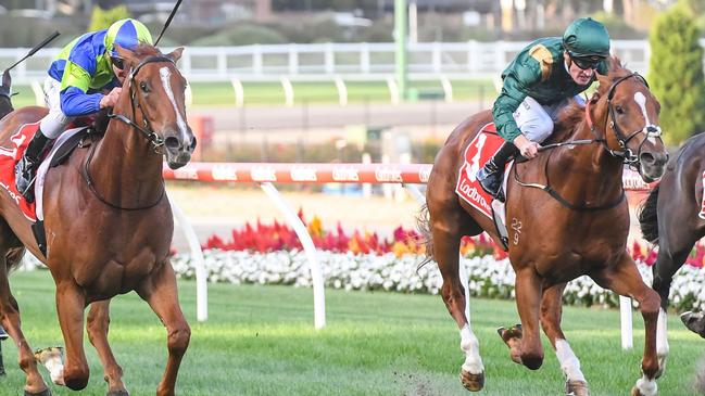 Wilbury (right) can win first-up for new trainer Mitch Beer at Narrandera. Picture: Getty Images