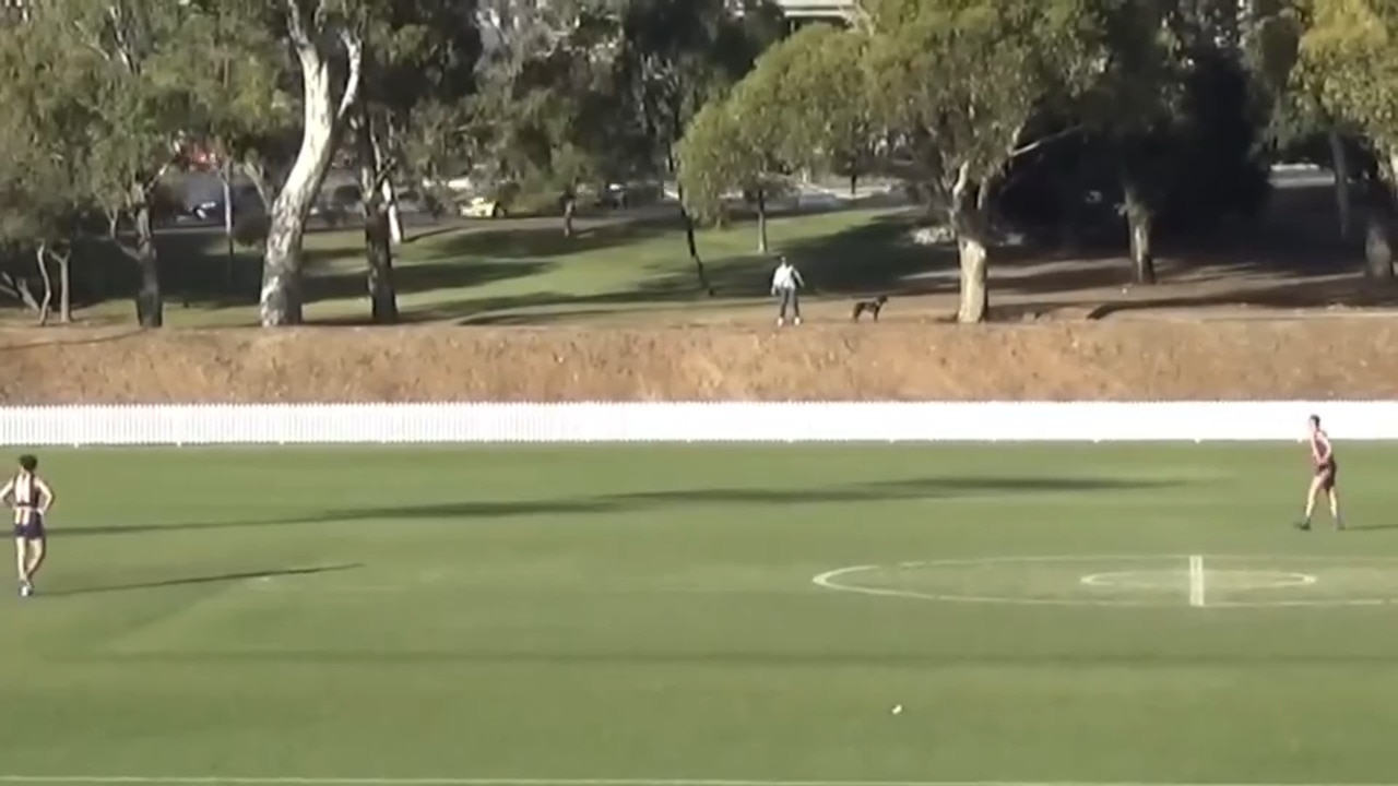 Old Ignatians' Liam Elliott-Mitchell kicks a 75-metre bomb