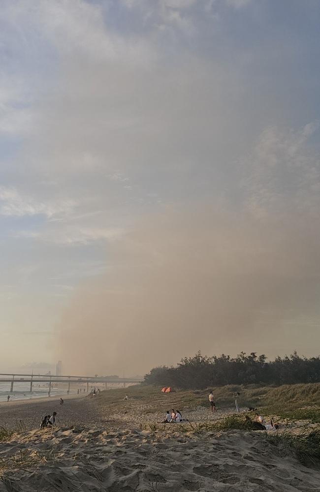 A fire tore through bushland at The Spit on New Year's Day. Photo: George Manolis.