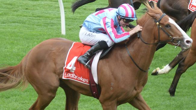 Heart Of Puissance is within reach of a start in the All-Star Mile. Picture: Getty Images