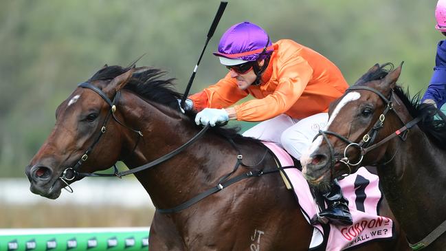 Exciting two-year-old colt Guac On wins at Ipswich for trainer Kelly Schweida and jockey Noel Callow. Picture: Natasha Wood / Trackside Photography